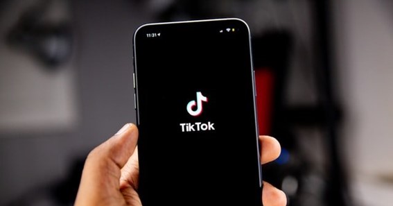 An Analysis of Buzzvoice, A New Platform for Getting TikTok Likes 