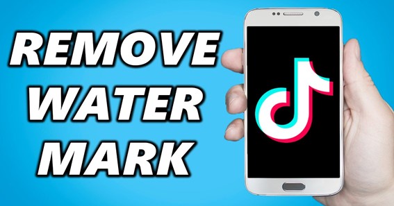 How to remove watermark when downloading TikTok videos effectively