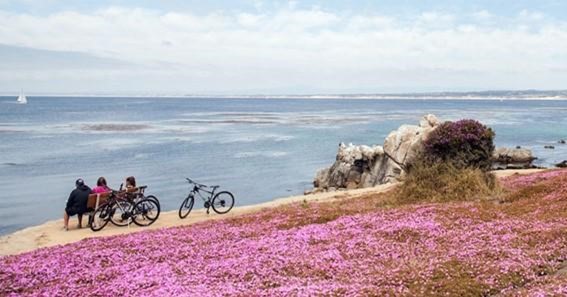 Relax At Monterey Bay Coastal Trail
