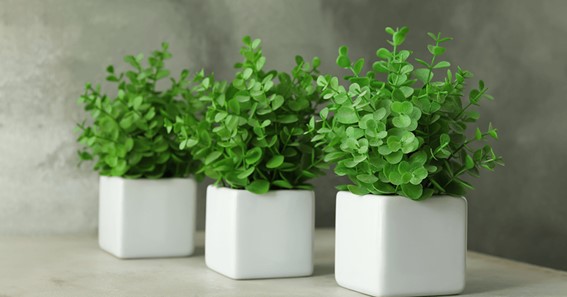 Choosing artificial plants for your office